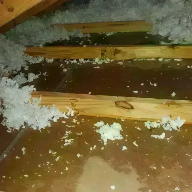 Attic Water Damage in Hudson, ME